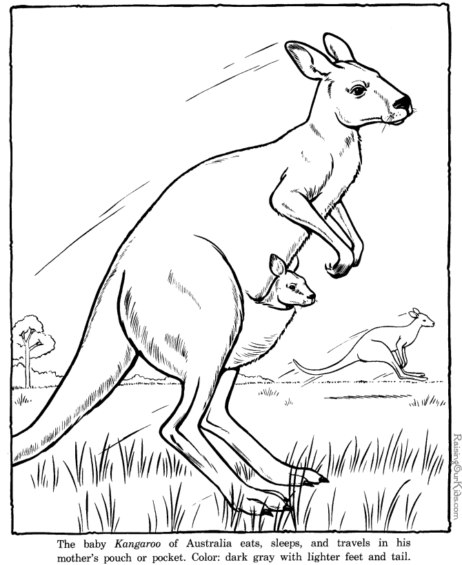 Plansa de colorat cu Australia 13 5